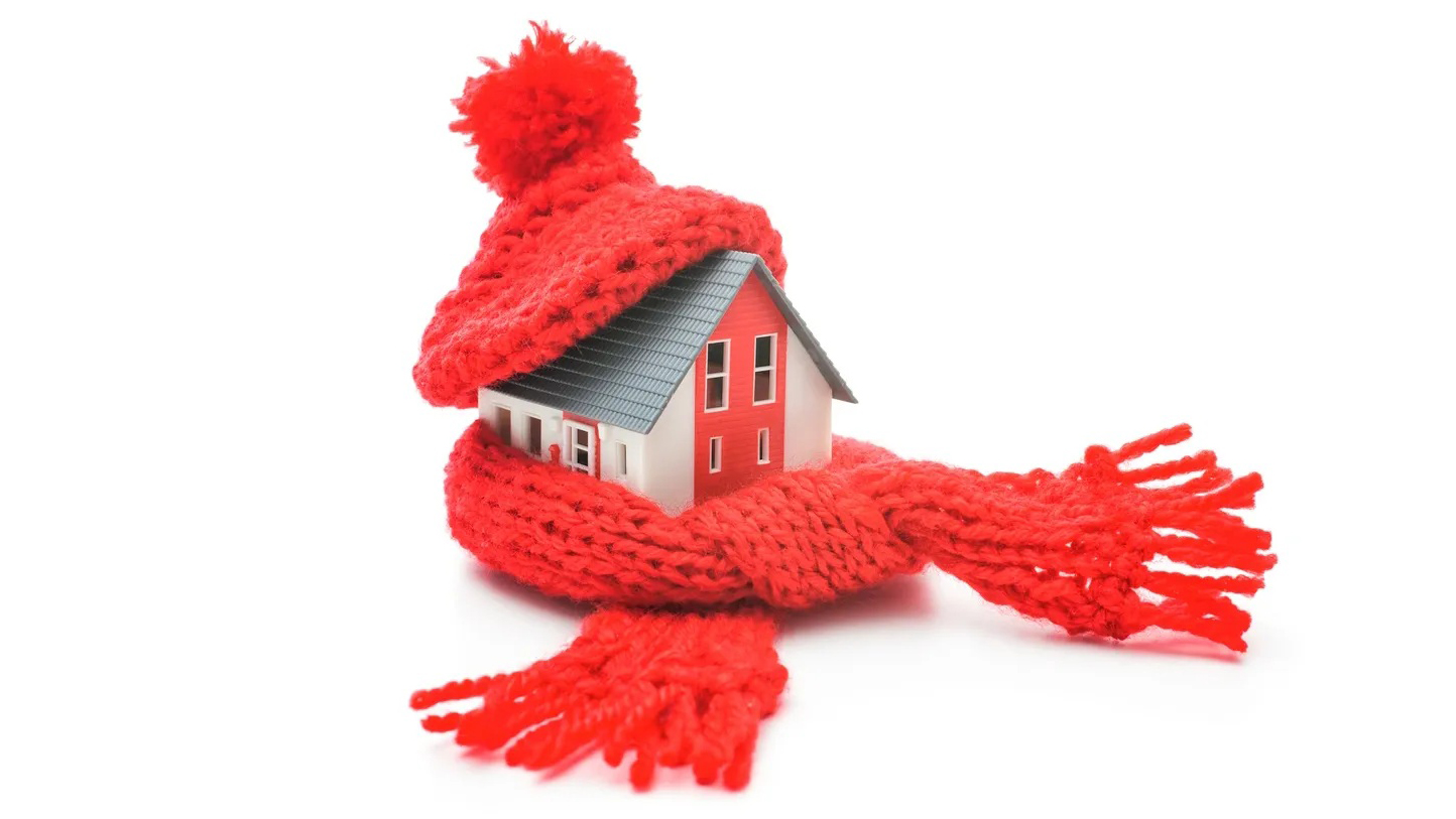 House in a scarf and hat